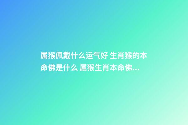 属猴佩戴什么运气好 生肖猴的本命佛是什么 属猴生肖本命佛是什么-第1张-观点-玄机派